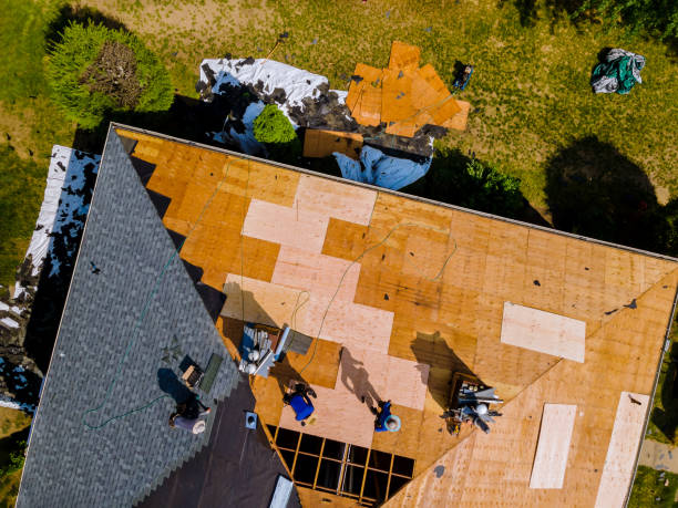 Best Metal Roofing Contractor  in Overland, MO
