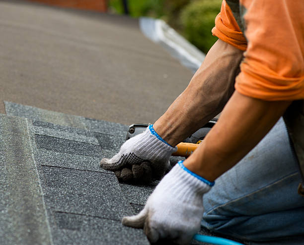 Best Roof Maintenance Services  in Overland, MO